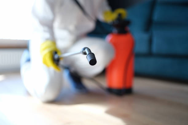 Best Real Estate Mold Inspection  in Bayport, NY